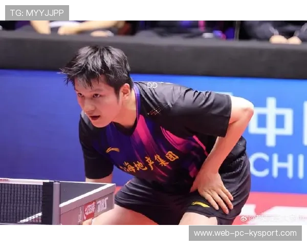 樊振东重回多球训练，节奏感依旧